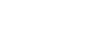 Cristina Zamfir Logo Alb